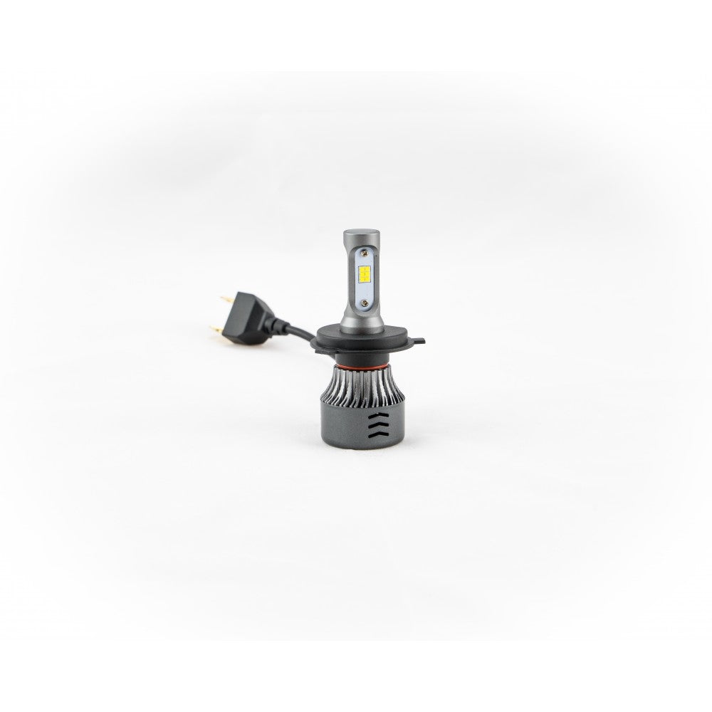 LEDINTENSEH4 ODX H4 Intense Led Bulb (Box Of 2)