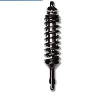 FT825282 Fabtech 2.5Dlss C/O N/R T900 4'Sgl Unpk Shk