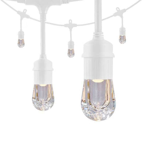 36803 Party Lights