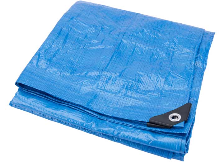 Performance Tool W6020 - Blue