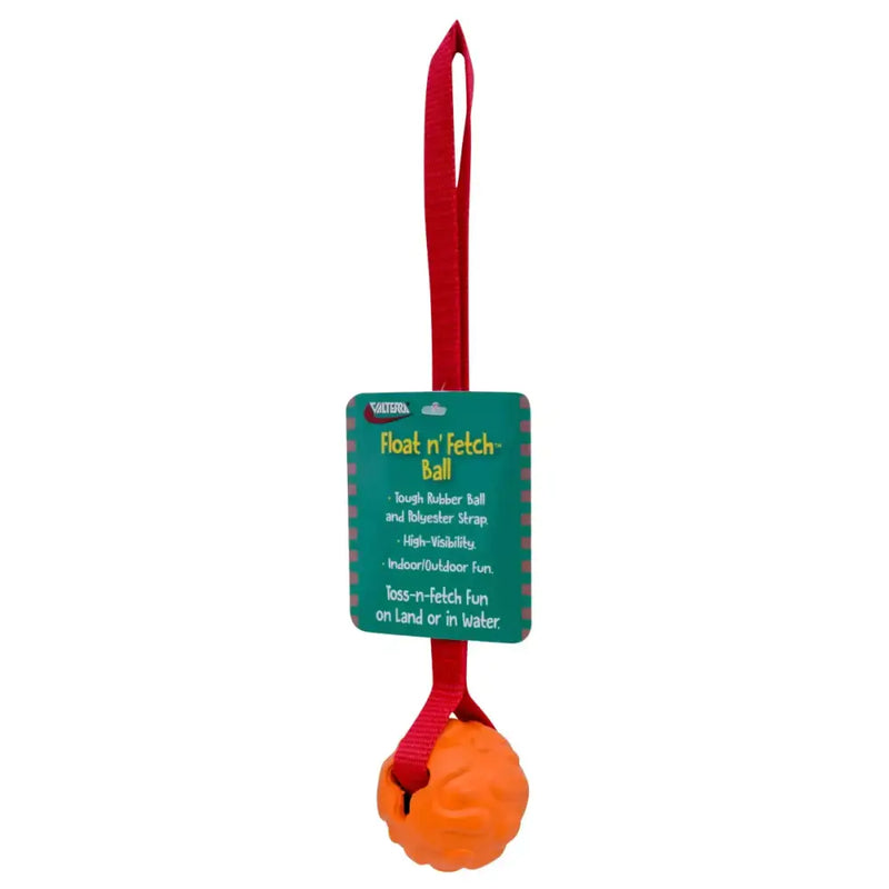 A10-2002 Pet Toy