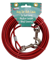 A10-2012VP Pet Leash