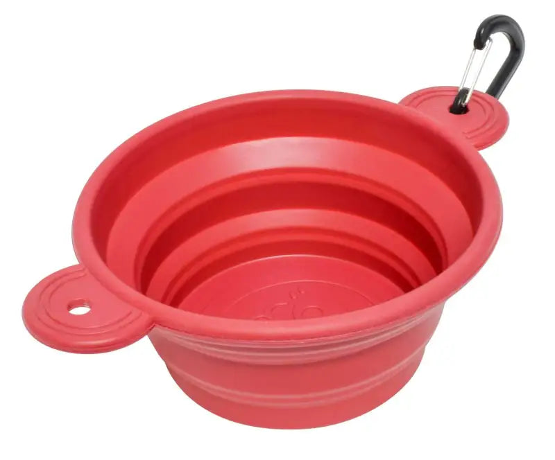A10-2021VP Pet Dish