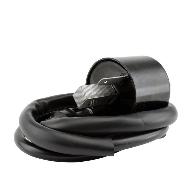 RM Stator External Ignition Coils Electrical RM06158