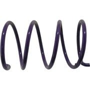 EPI ACSS-5 Spring Driven Clutch Cat Purple