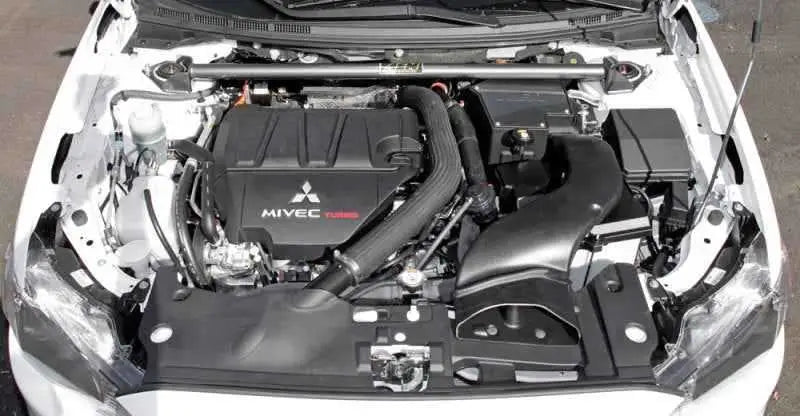 AEM Induction 29-0010