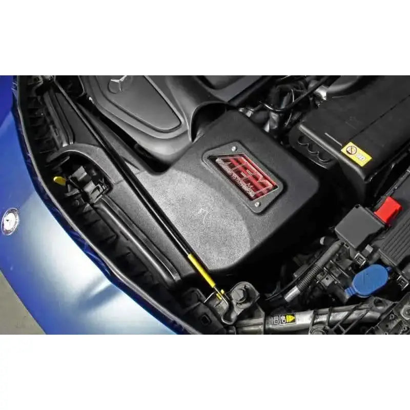 AEM Induction 21-781DS