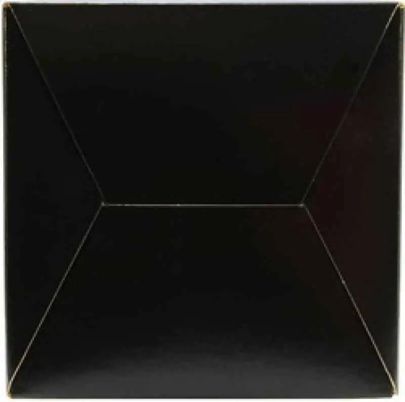 AEM Induction 21-202DK