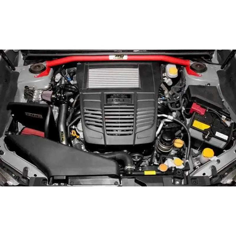 AEM Induction 29-0011WR