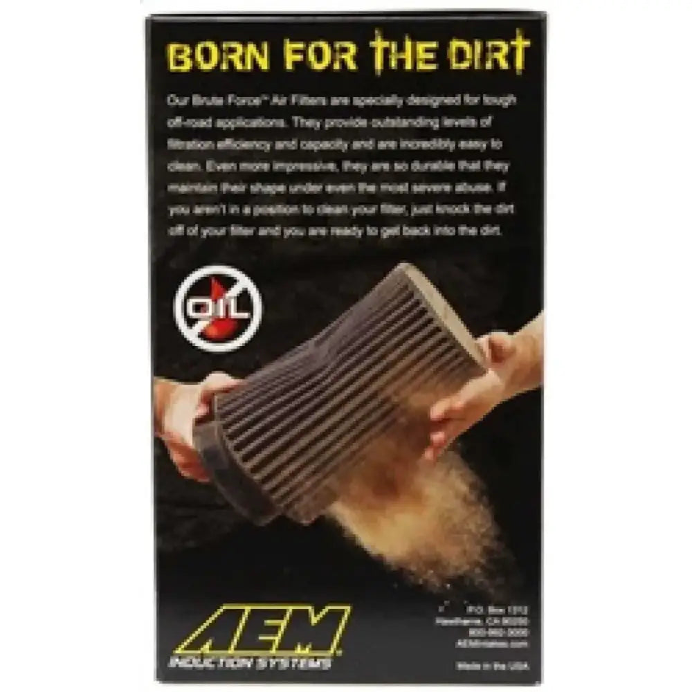 AEM Induction 21-2029BF