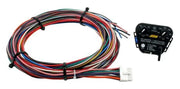 AEM 30-3306