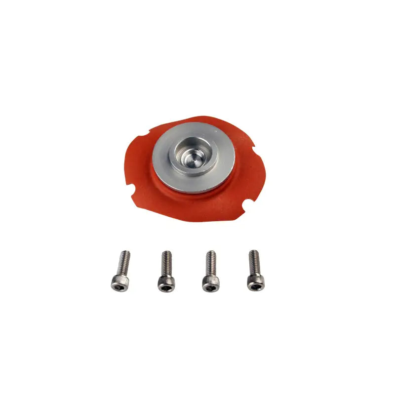 Aeromotive 13001 Aeromotive EFI Regulator Repair Kit (for 13101/13109/13151/13159/13114)