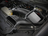 aFe 2021 + Ford F150 5.0L V8 MagnumFORCE Intake Stage-2 Pro DRY S - Truck & Automotive