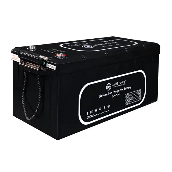 Aims Power LFP12V300A Battery