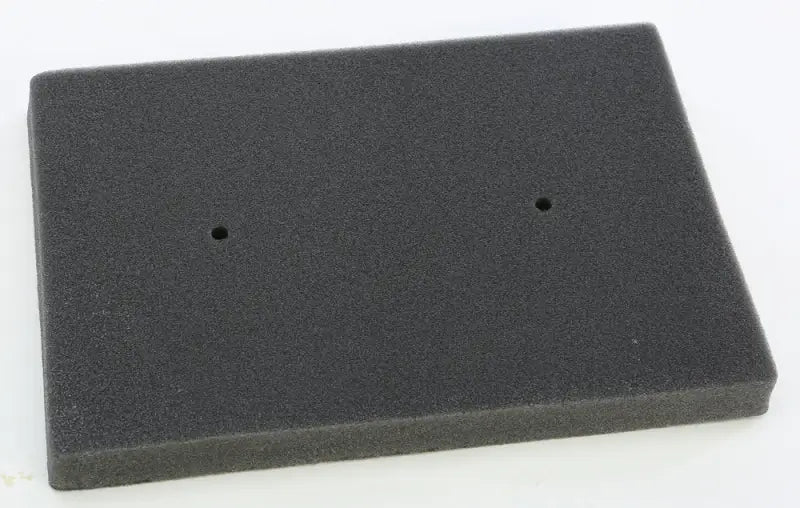 EMGO Air Filter for Powersports