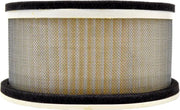 EMGO Air Filter for Powersports