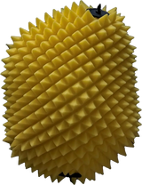 Air Filter Proline
