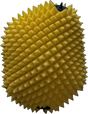 Air Filter Proline