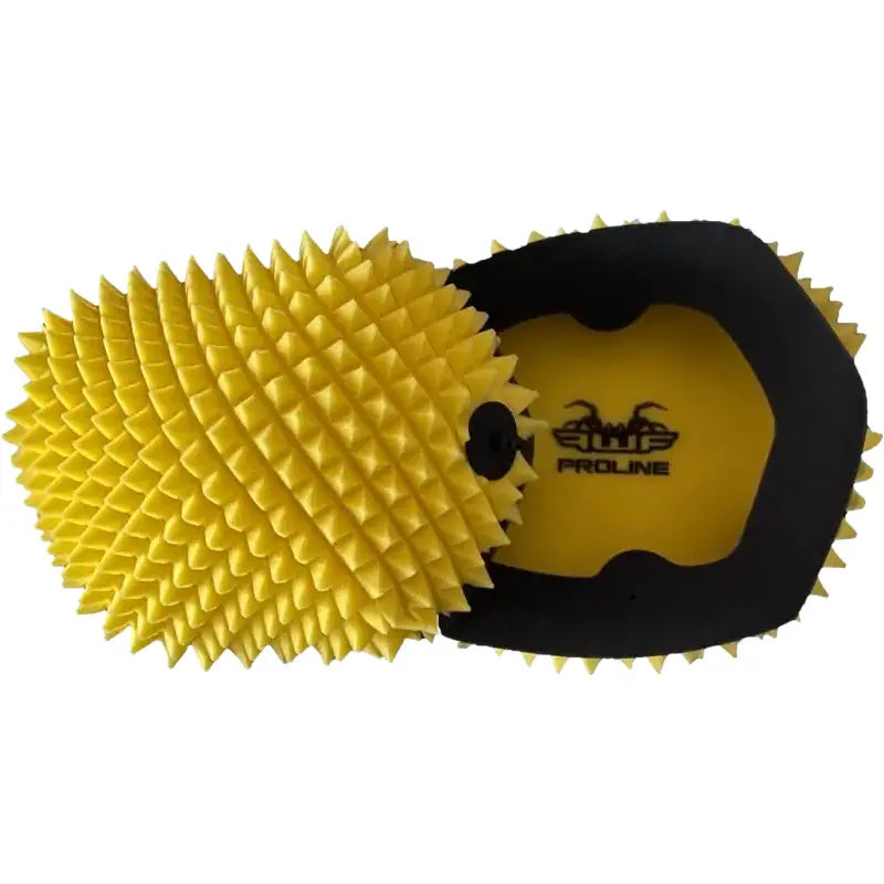 Air Filter Proline