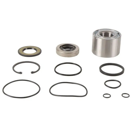 Assorted mechanical seals and bearings for Jet Pump Rebuild Kit in jet pump rebuild projects