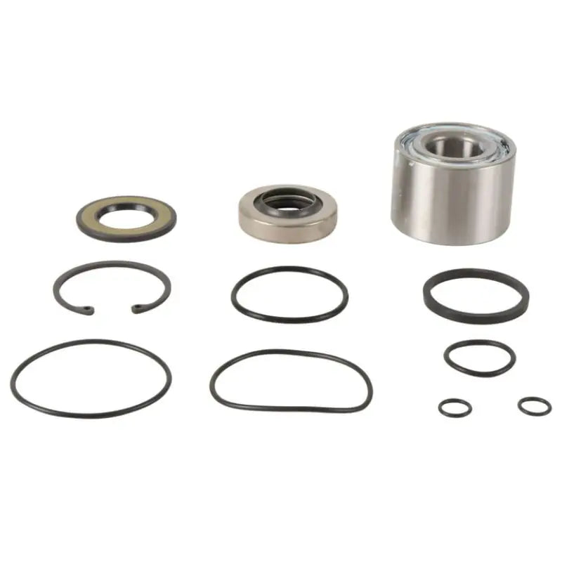 Assorted mechanical seals and bearings for Jet Pump Rebuild Kit in jet pump rebuild