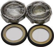Steering Bearing/Seal Kit