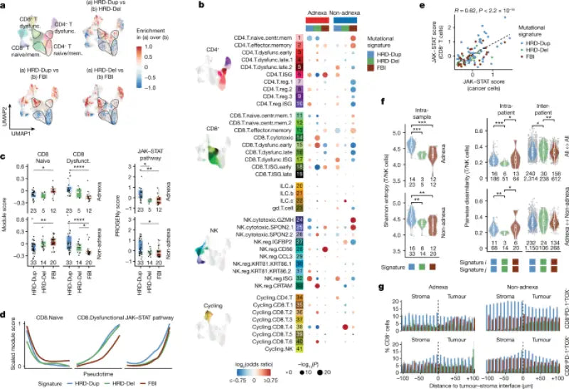 All Balls 50-1262 Rear Ind. Suspension Kit