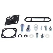 All Balls 60-1310 Diaphragm Repair Kit
