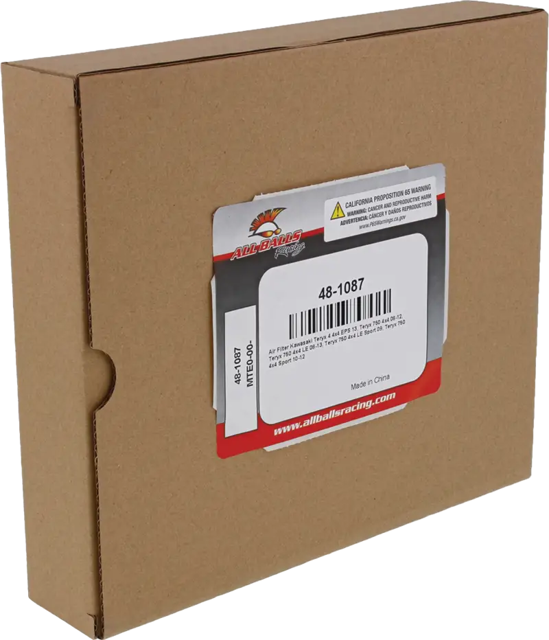 ALL BALLS Air Filter Kit 48-1087 - OEM Replacement - ALL BALLS