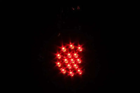 ANZO 311042
