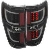 ANZO 311257