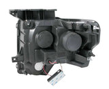 ANZO 111297