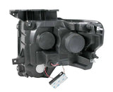 ANZO 111297