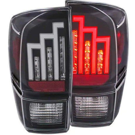 ANZO 311281