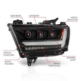 ANZO 111494-L