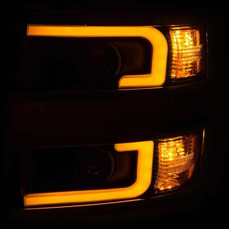 ANZO 111365
