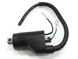 AT-01311 Atv Ignition Coil - ATV