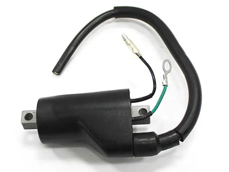 AT-01311 Atv Ignition Coil - ATV