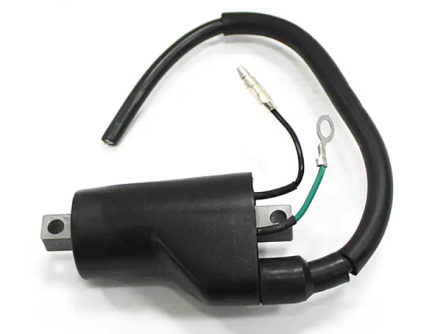 AT-01311 Atv Ignition Coil - ATV