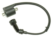 AT-01696 Atv Ignition Coil - ATV