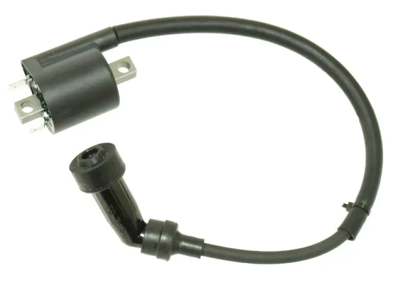AT-01696 Atv Ignition Coil - ATV