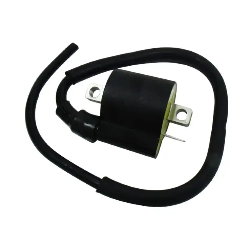 Atv Ignition Coil - Powersports