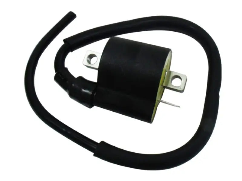 Atv Ignition Coil - Powersports