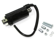 Atv Ignition Coil - Powersports