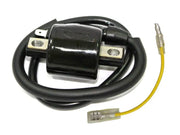 Atv Ignition Coil - Powersports