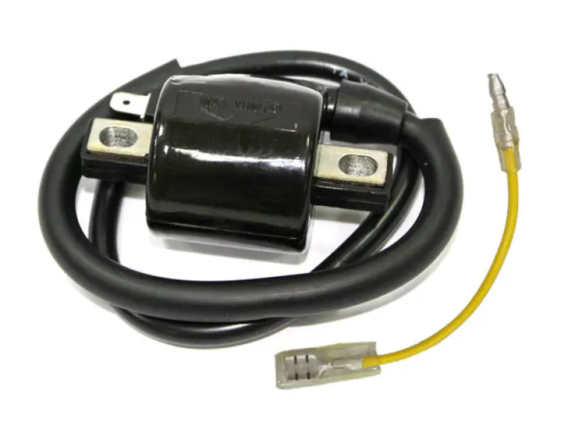 Atv Ignition Coil - Powersports