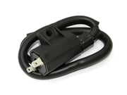 Atv Ignition Coil - Powersports