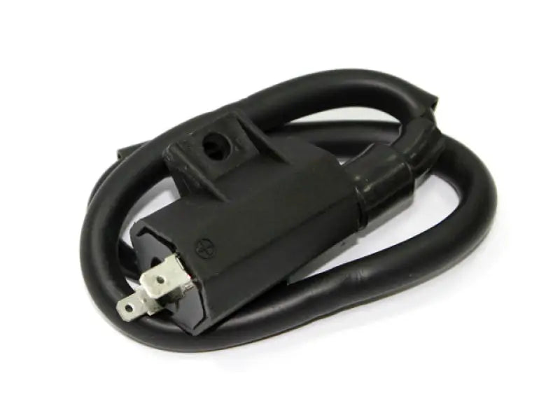 Atv Ignition Coil - Powersports