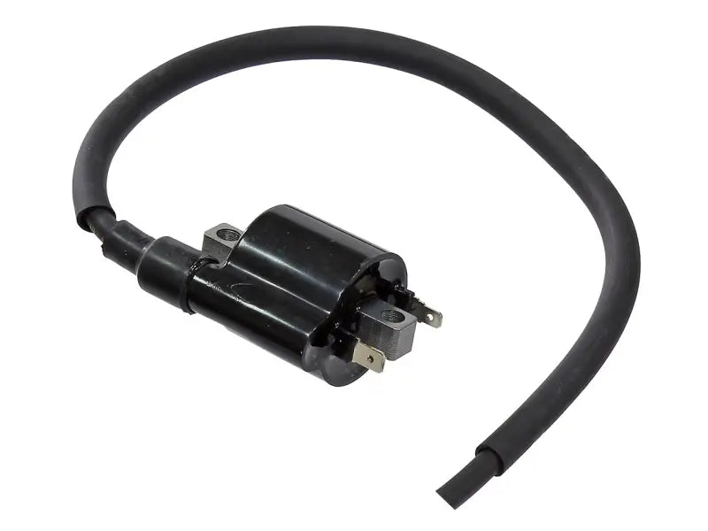 Atv Ignition Coil - Powersports