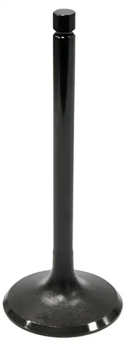 AU-09004E Exhaust Valve
